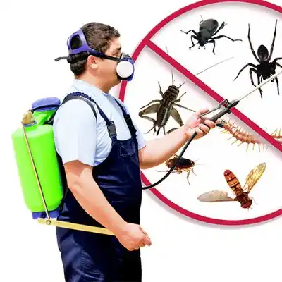 pest control Caledonia